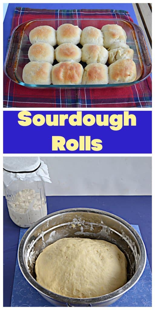Pin Image: A glass baking dish with a dozen golden brown rolls in it, text, a bowl with dough rising in it and the sourdough starter behind it. 