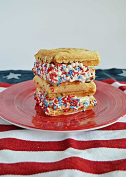 A plate with two waffle ice cream sandwiches rolled in red, white, and blue sprinkles.