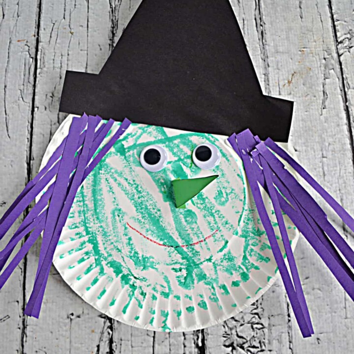 A paper plate witch colored green with google eyes and a nose and purple paper hair sstrips and a black hat.