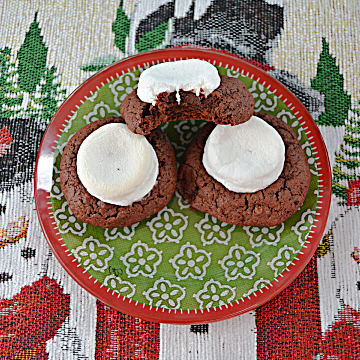 A plate with two hot cocoa cookies on it stacked with another hot cocoa cookie that has a bite taken out of it.