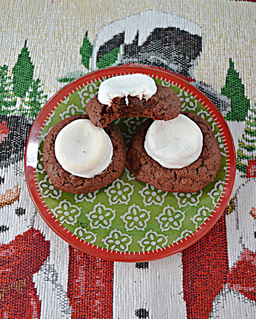 A plate with two hot cocoa cookies on it stacked with another hot cocoa cookie that has a bite taken out of it. 