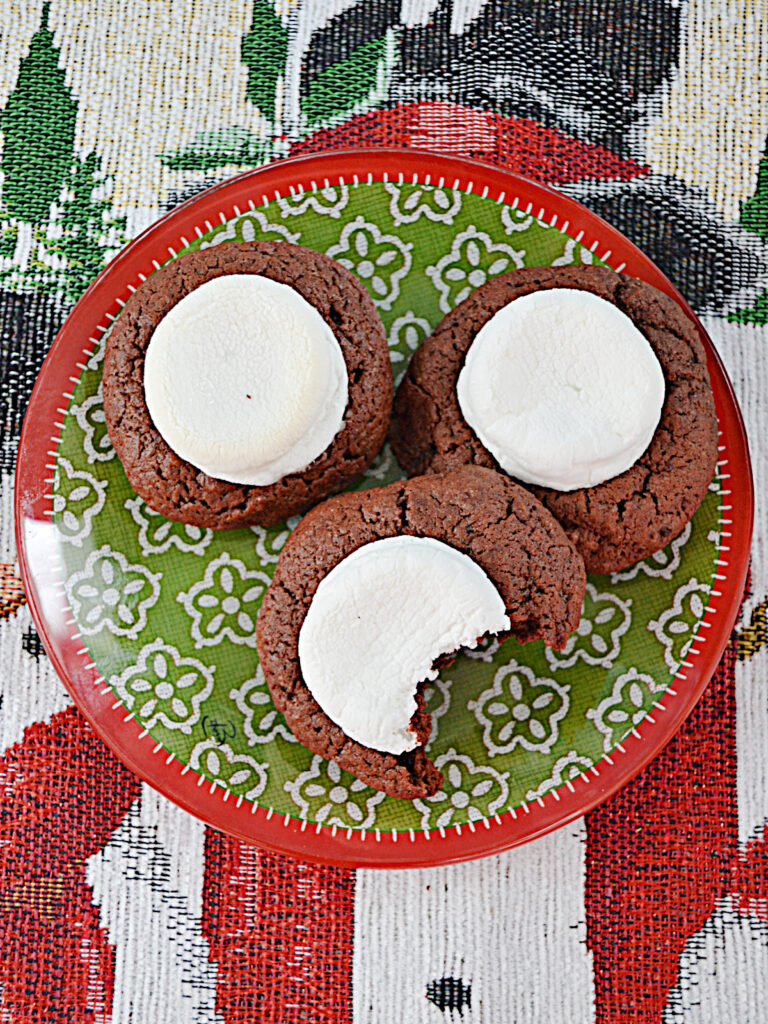 A plate with 3 hot cocoa cookies on it, one with a bite taken out of it. 