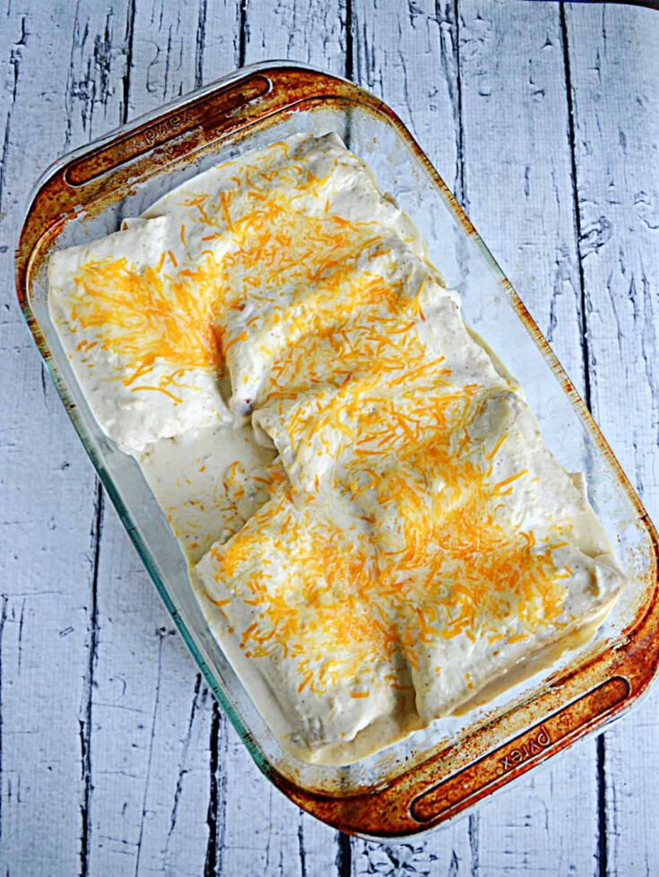 Beef Hatch Chile Enchiladas HezziD's Books and Cooks