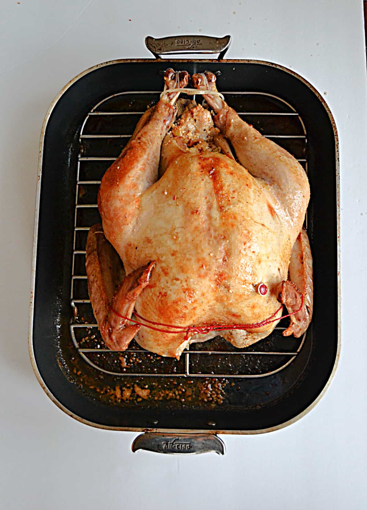 A golden brown turkey in a roasting pan.