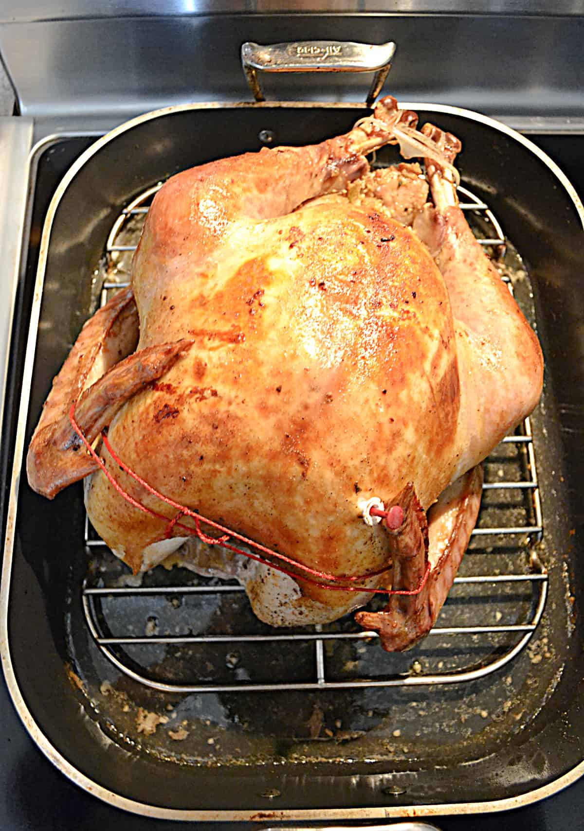 A browned turkey in a roasting pan.