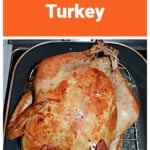 Pin Image: Text title, a golden brown turkey in a roaster.