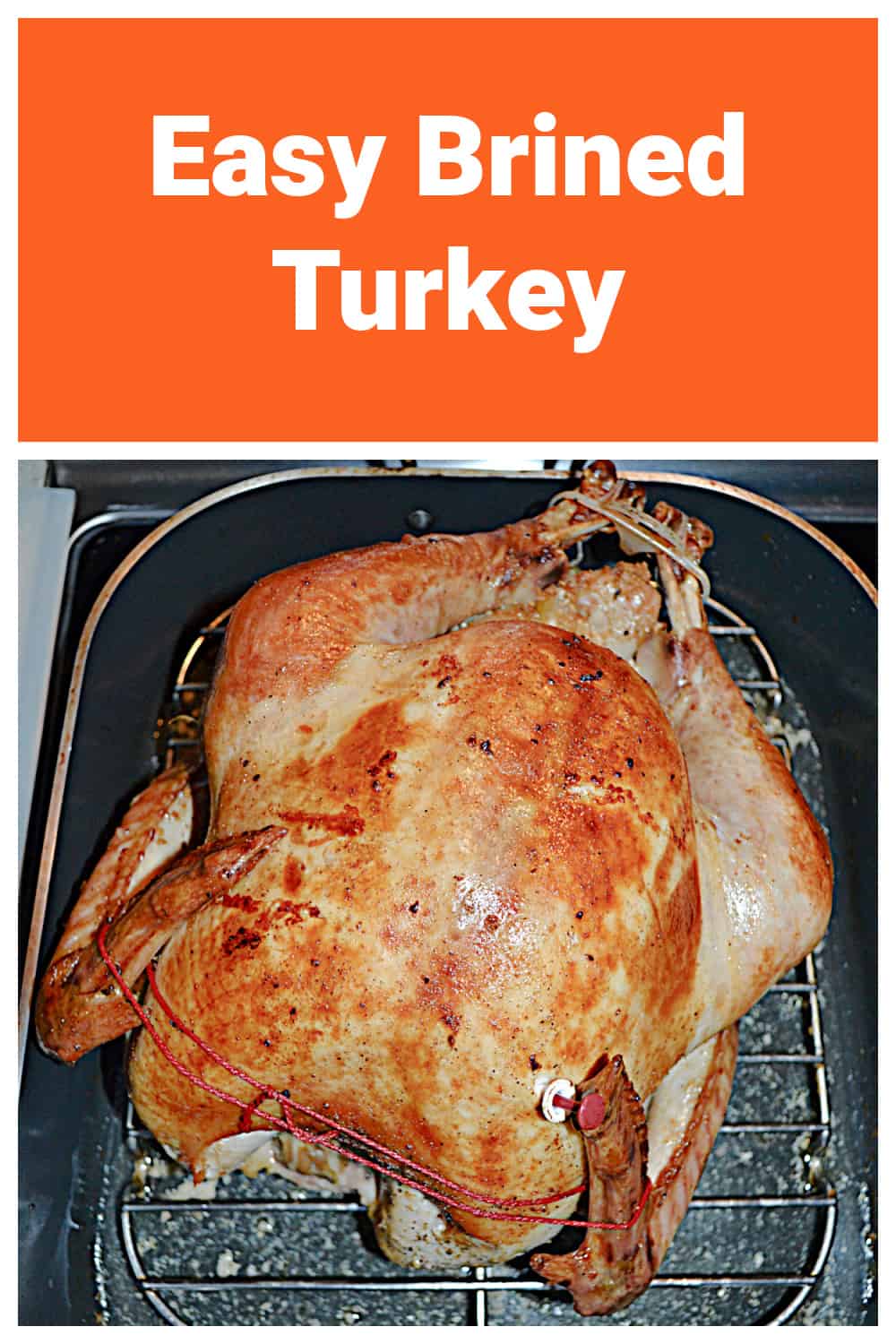 Pin Image: Text title, a golden brown turkey in a roaster.