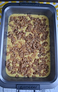 Cake batter with a brown sugar pecan mixture on top.