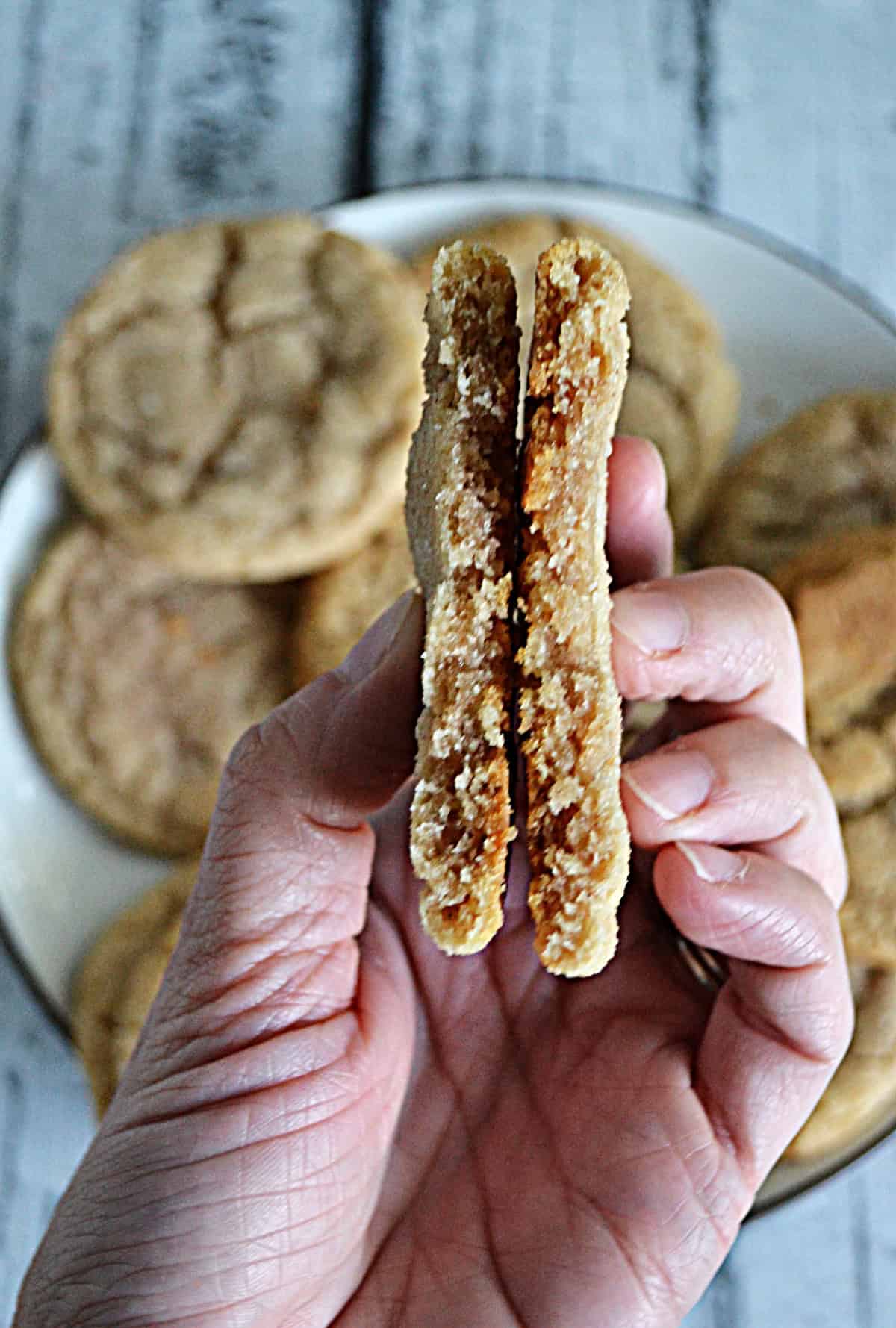 A hand holding a snickerdoodle broken in half.