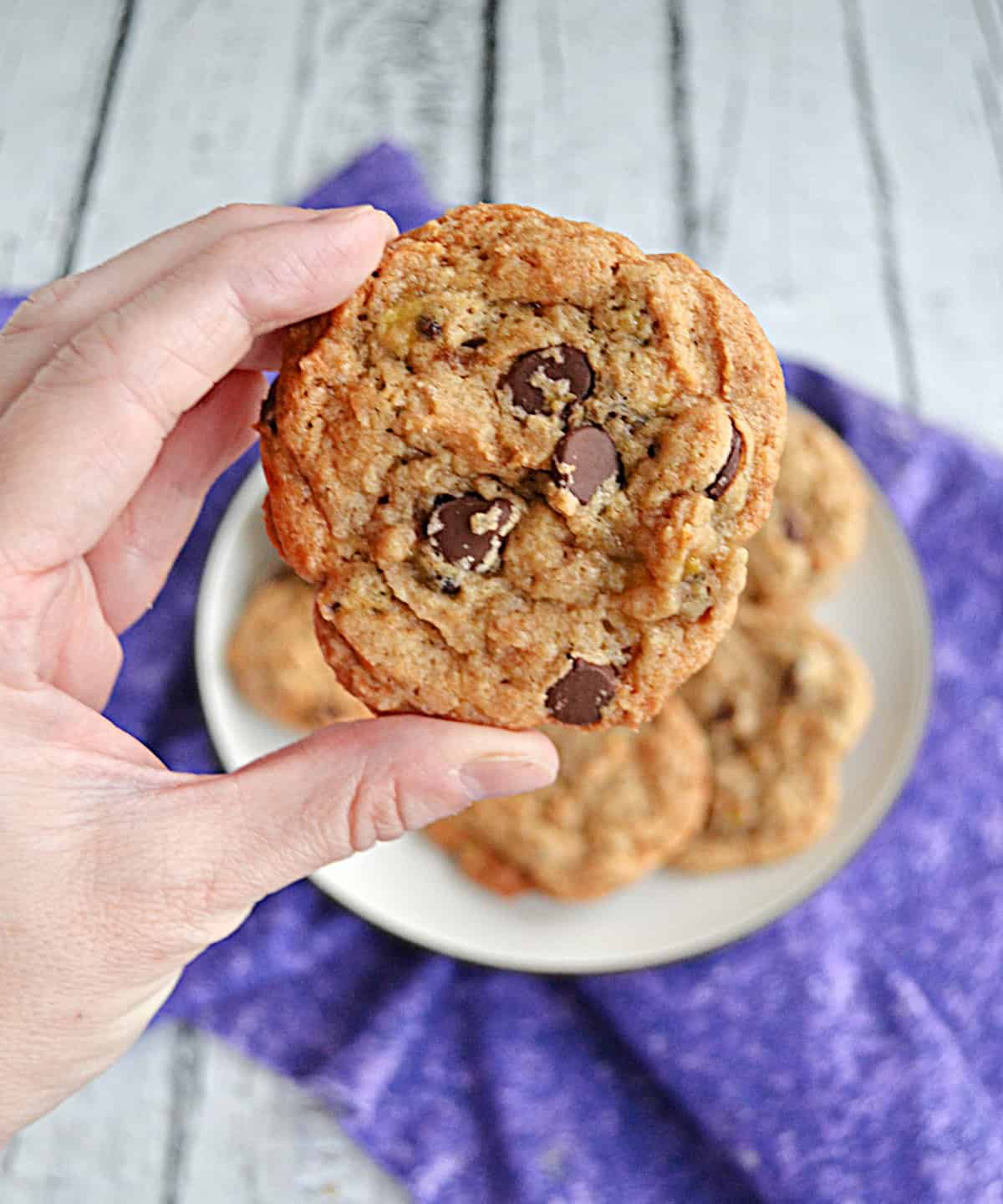 A hand holding a cookie close up.