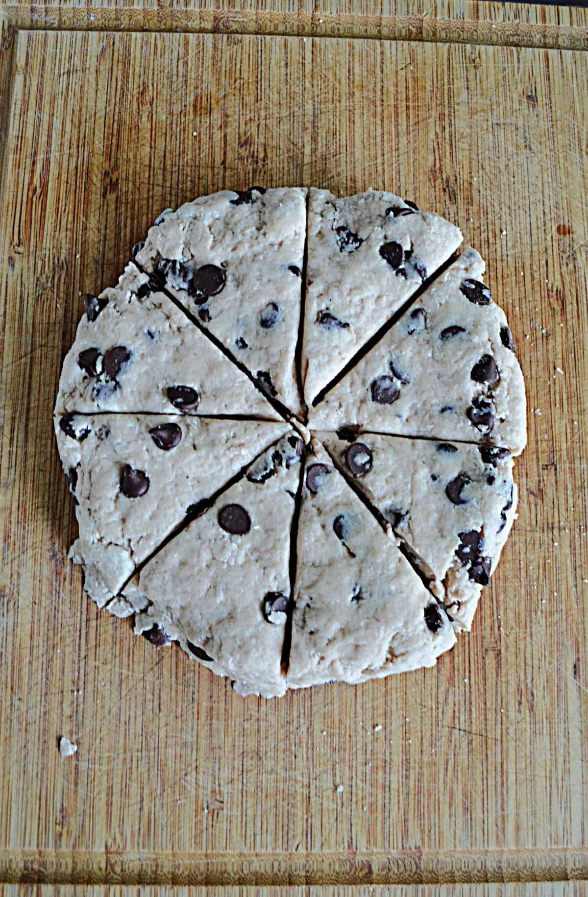 A round of chocolate chip dough cut into 8 pieces.