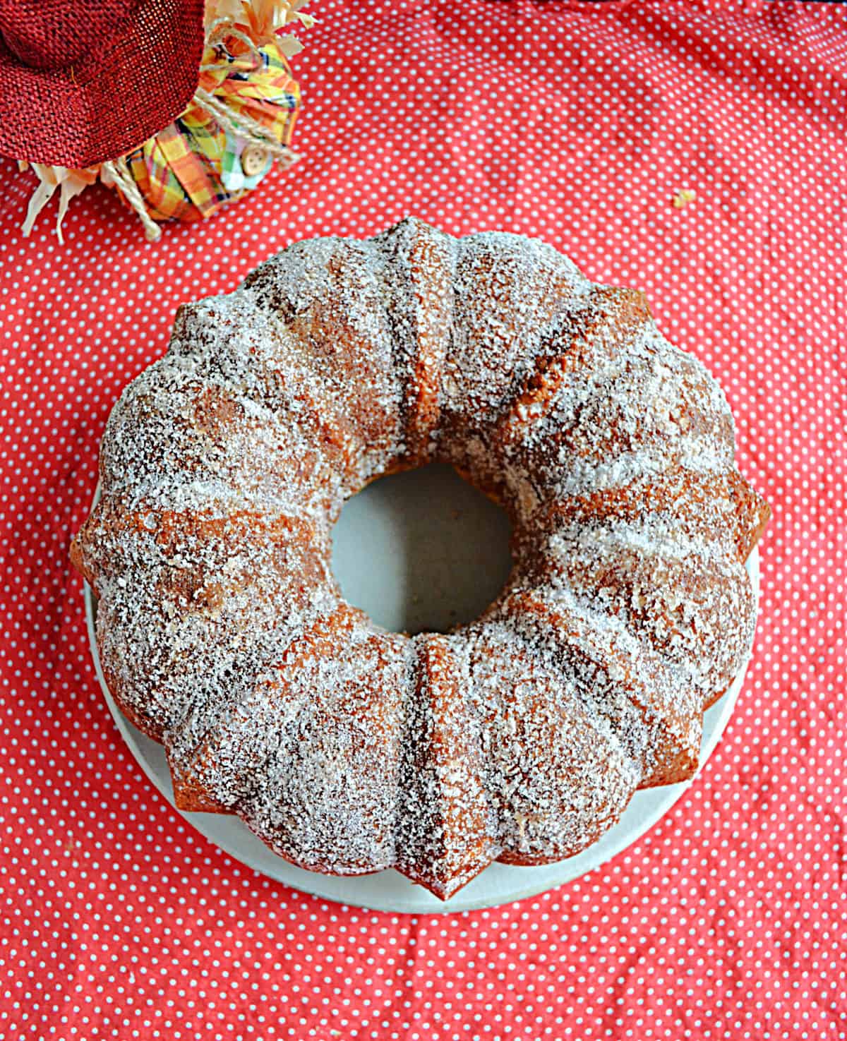 A Bundt cake with sugar all overthe outside.