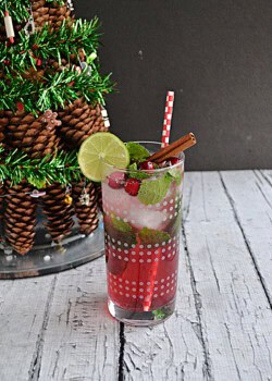 A glass with lime wedges, cranberries, mint leaves, and a straw in it.