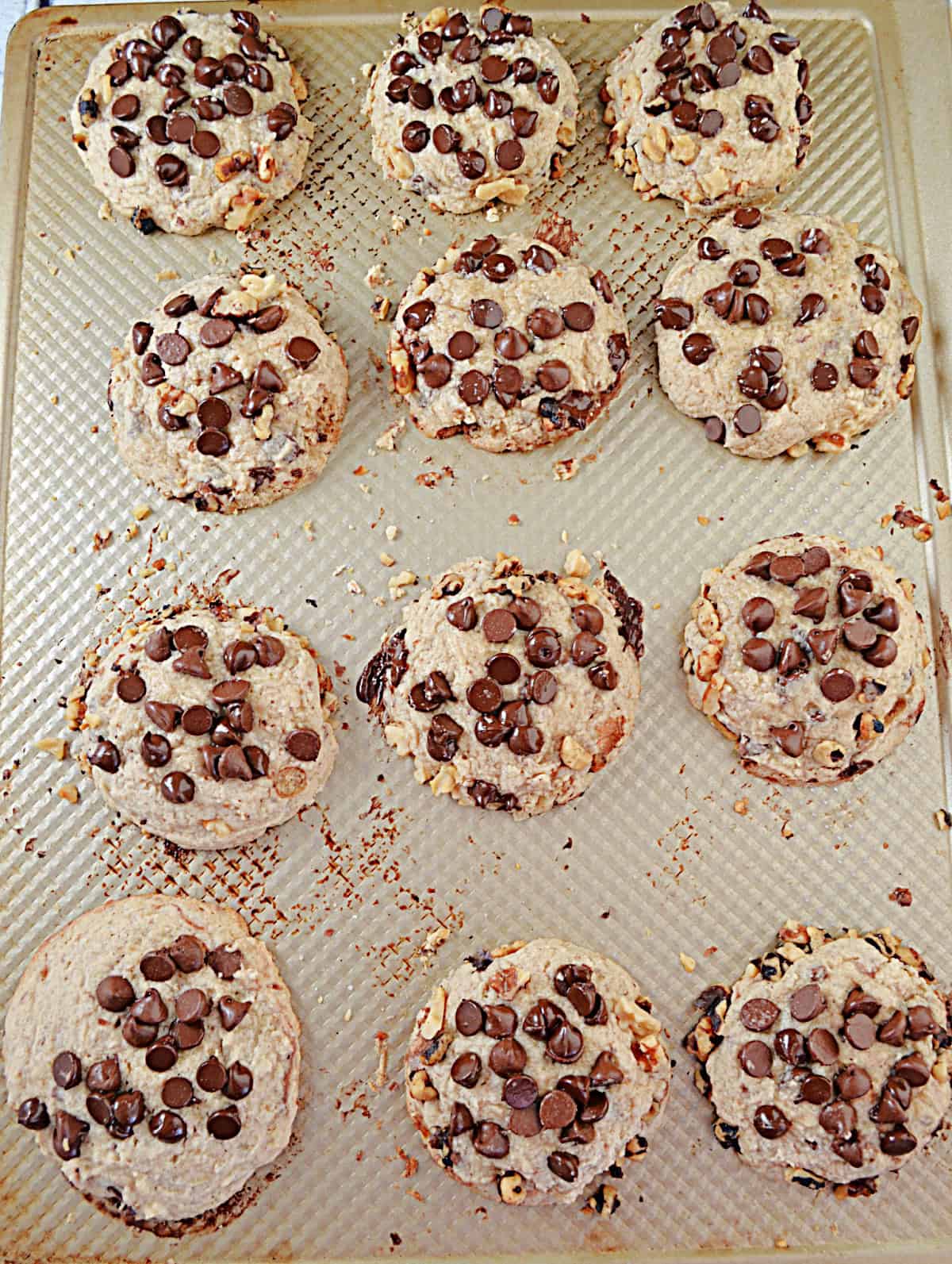 A cookie sheet with cookies topped with chocolate chips on it.