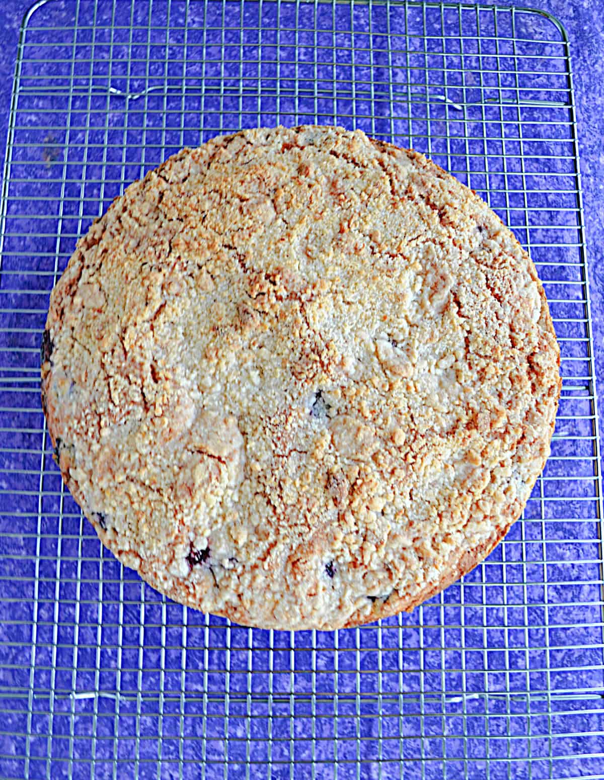 Coffee Cake with golden brown crumble on top.